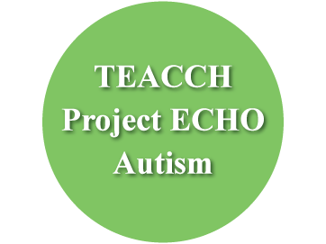 TEACCH Project ECHO Autism Button